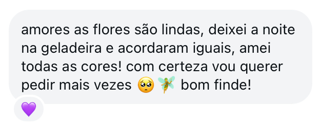 Depoimento no WhatsApp: amores, as flores são lindas, deixei a noite na geladeira e acordaram iguais, amei todas as cores! Com certeza vou querer pedir mais vezes