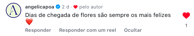 Comentário no Instagram de @angelicapoa: dias de chegada de flores são sempre os mais felizes