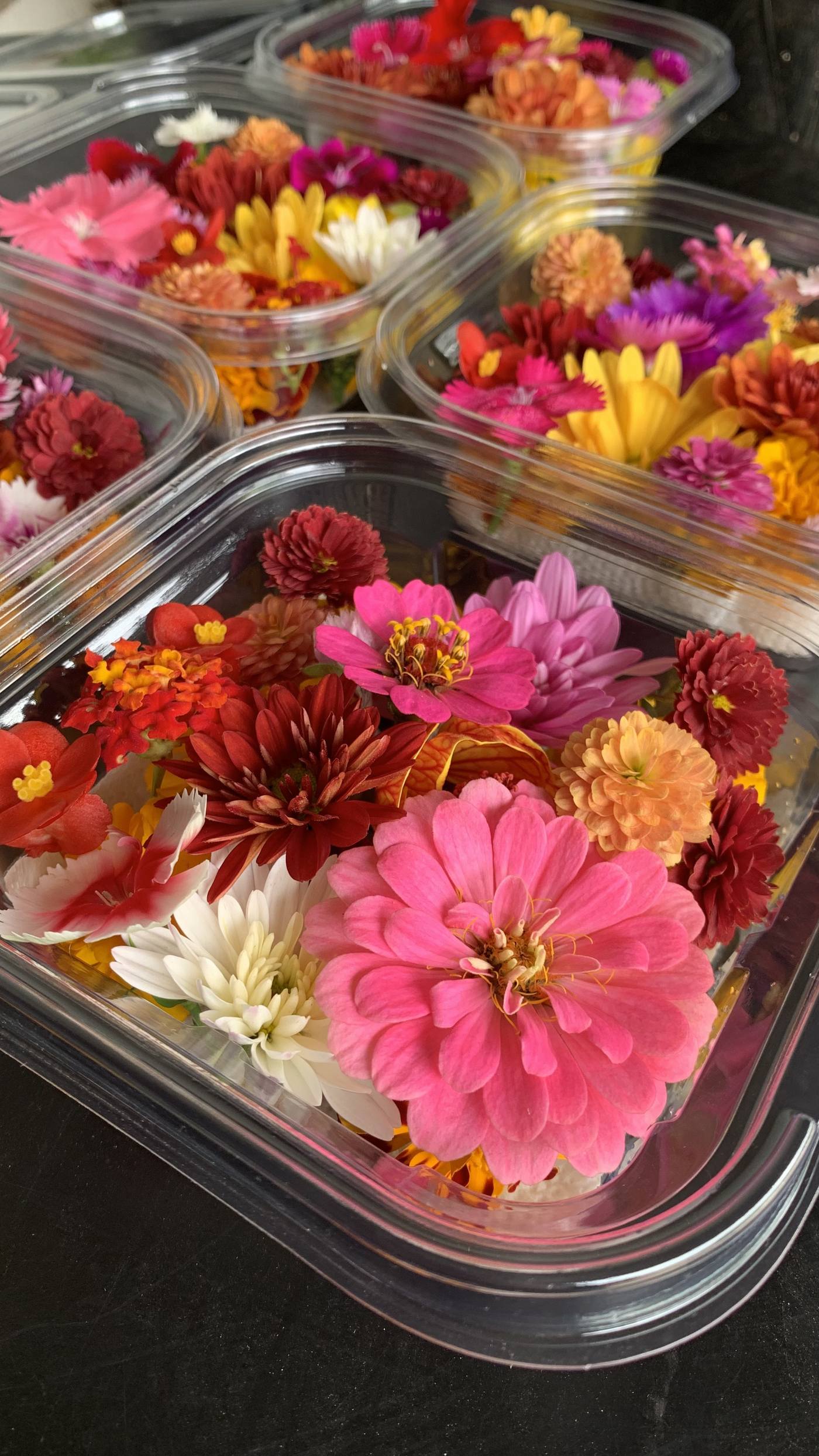 Packs de flores comestíveis sortidas da Aflora Club